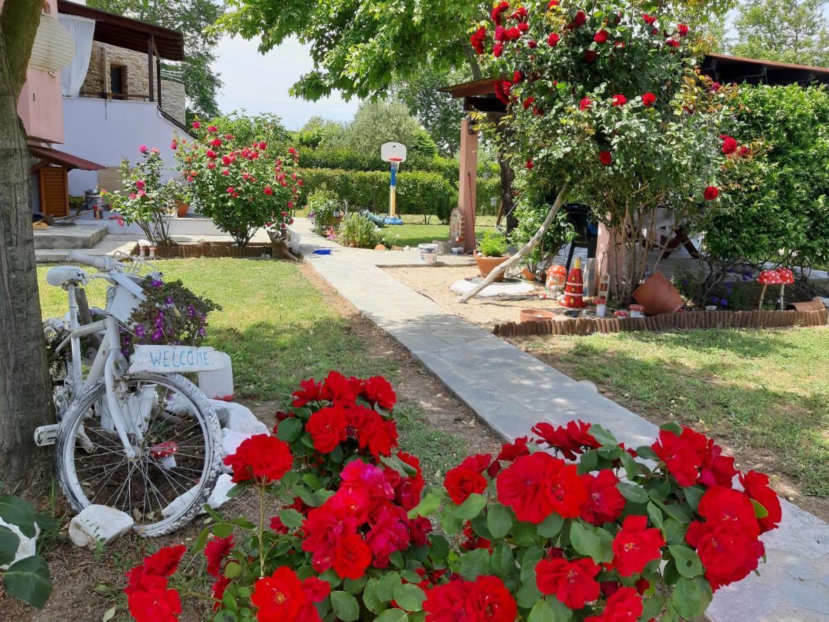 Evgenia Maisonette Ιερισσός Εξωτερικό φωτογραφία